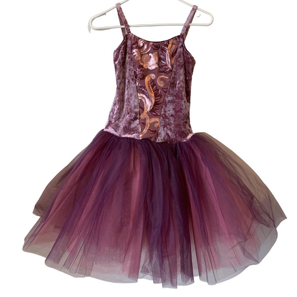 Revolution Other - 🏰 Pink and Purple Ballet Pointe Dance Costume Adult Medium or 🎀 Princess Dress